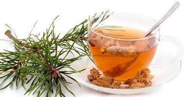 tincture of pine buds for cervical osteochondrosis