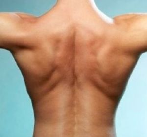 pain in the shoulder blade
