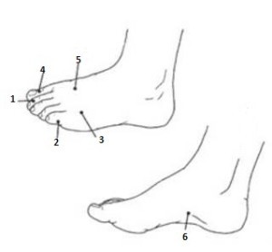 Point on the leg from headaches